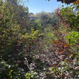 Immeuble / 110 m² / 79 000 € / CARMAUX